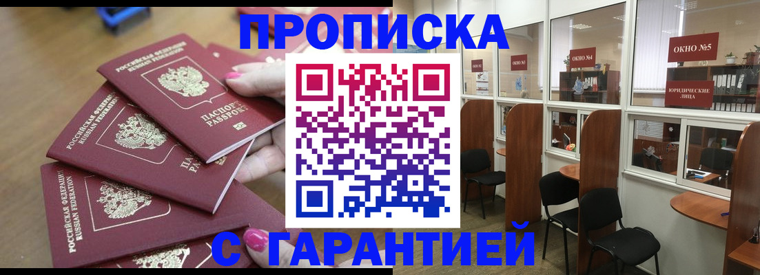 прописка поиск в Купино